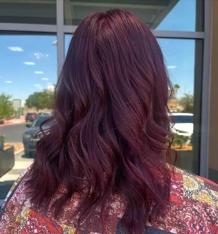 Deep Burgundy Wine with Mahogany Undertones