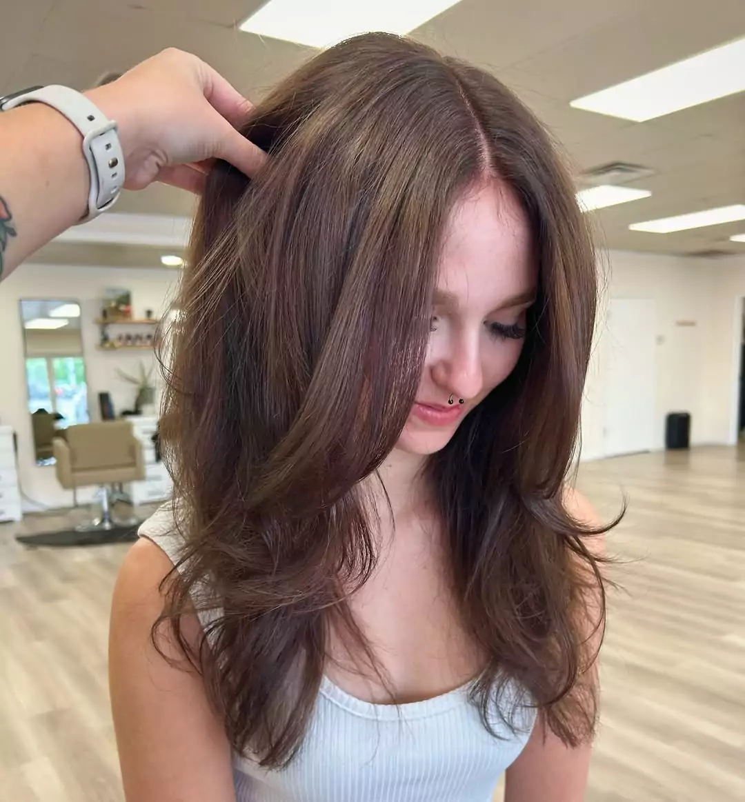 Rich Chocolate Brown with Subtle Highlights